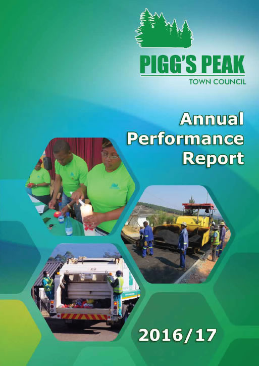 Annual Report &mdash; 2017